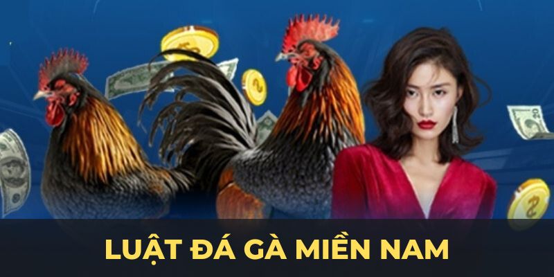 Luật đá gà miền nam ảnh