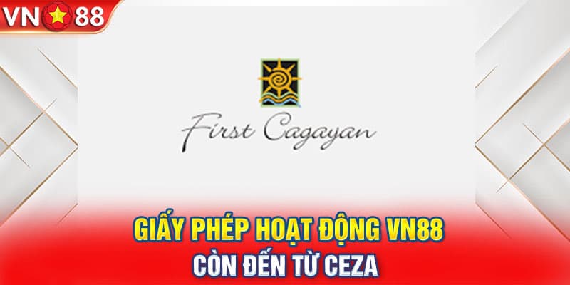 Những loại giấy phép hoạt động của VN88