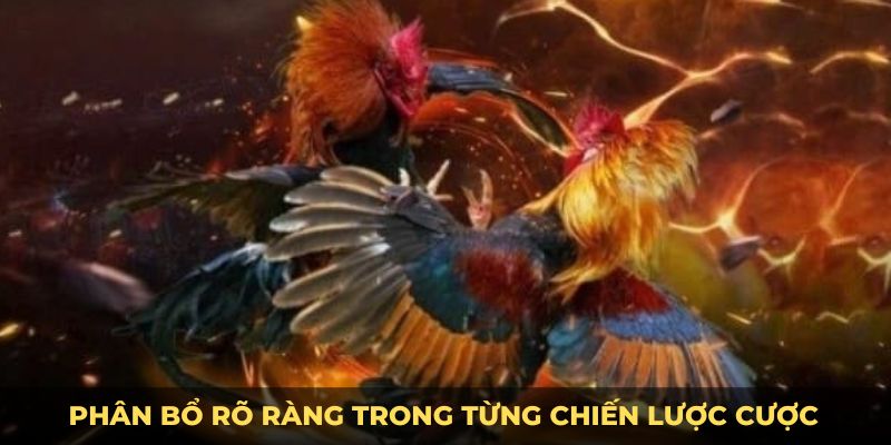 Phân bổ chiến lược rõ ràng